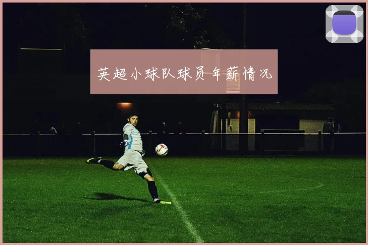 英超小球队球员年薪情况