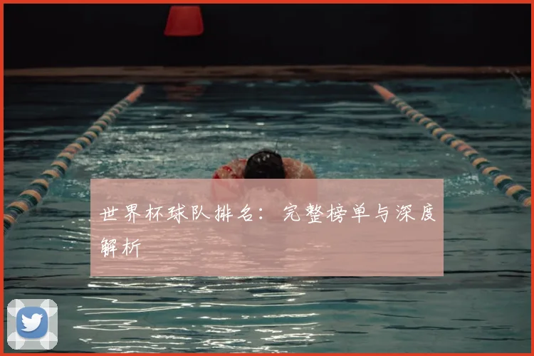 世界杯球队排名：完整榜单与深度解析
