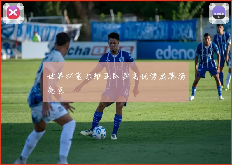 世界杯塞尔维亚队身高优势成赛场亮点