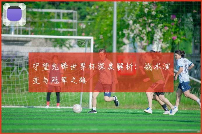 守望先锋世界杯深度解析：战术演变与冠军之路