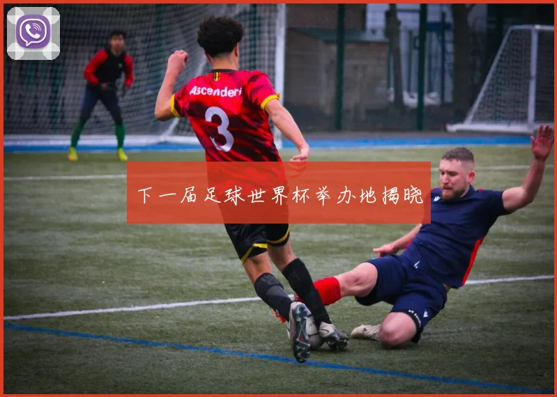 下一届足球世界杯举办地揭晓
