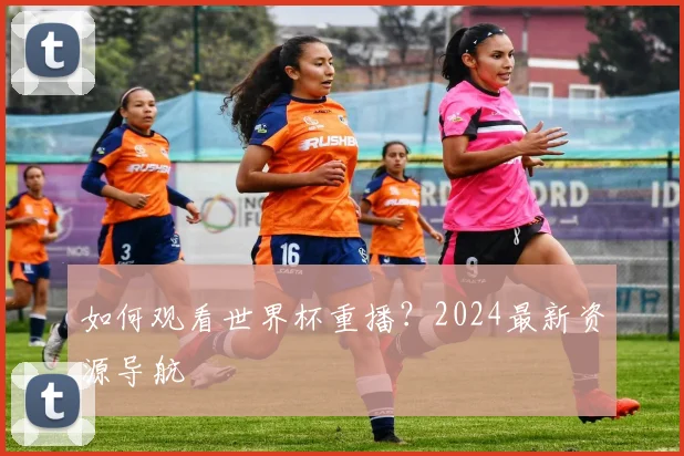 如何观看世界杯重播？2024最新资源导航