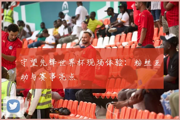 守望先锋世界杯现场体验：粉丝互动与赛事亮点