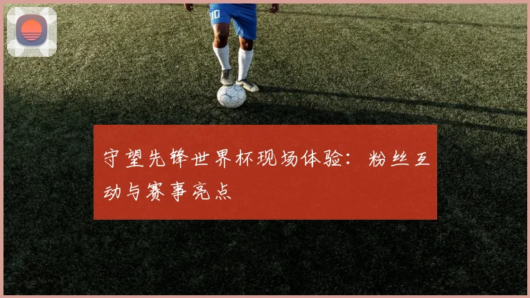 守望先锋世界杯现场体验：粉丝互动与赛事亮点