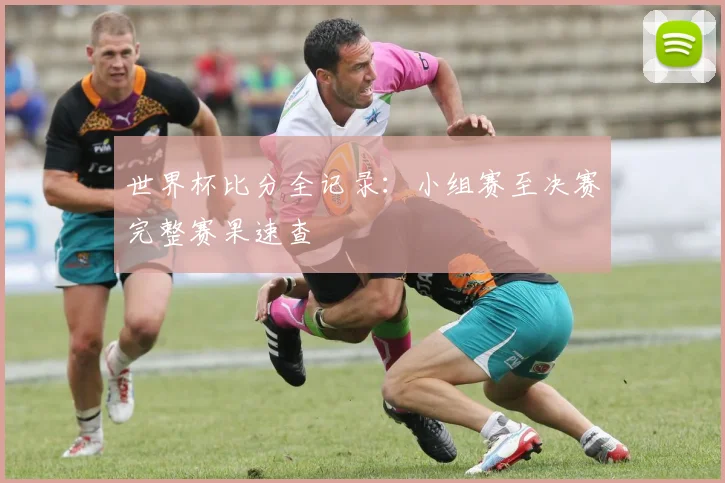 世界杯比分全记录：小组赛至决赛完整赛果速查