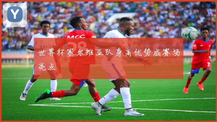世界杯塞尔维亚队身高优势成赛场亮点